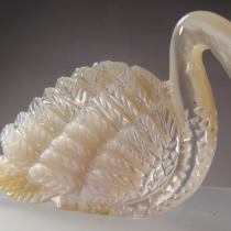 Swan by Randy Lucio