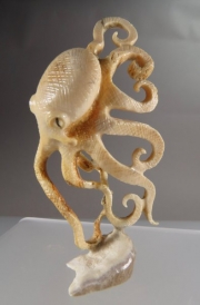 Octopus by Estaban Najera