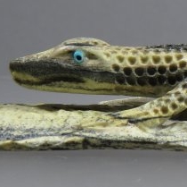 Lizard by Chris Waatsa