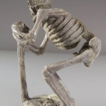Human Skeleton by Estaban Najera (view 3)