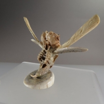 Wasp Skeleton by Estaban Najera