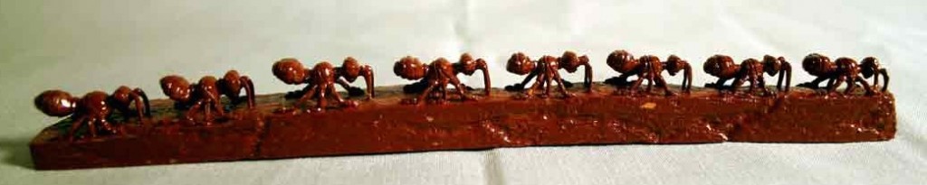 F.M.-Ants