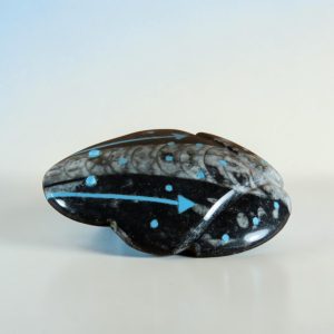 Bernard Laiwakete ~ Fossil Frog Fetish